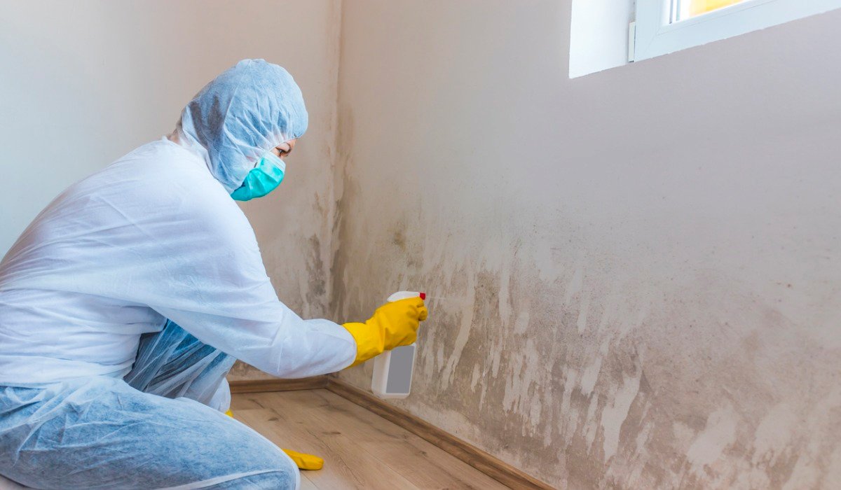 post-inspection mold remediation